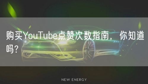 购买YouTube点赞次数指南，你知道吗?