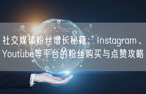 社交媒体粉丝增长秘籍：Instagram、Youtube等平台的粉丝购买与点赞攻