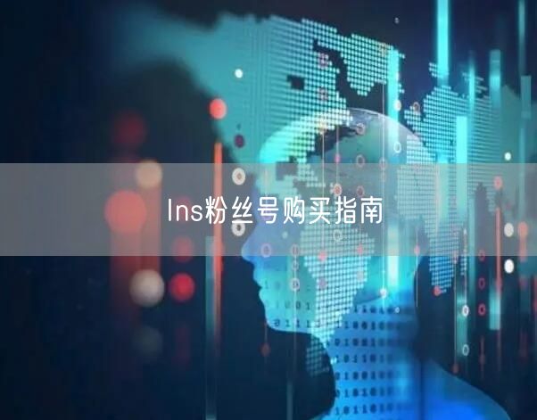 Ins粉丝号购买指南