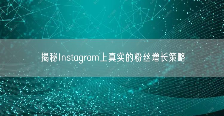 揭秘Instagram上真实的粉丝增长策略