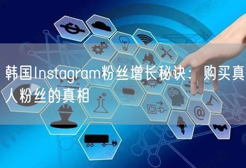 韩国Instagram粉丝增长秘诀：购买真人粉丝的真相