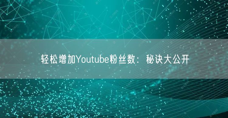 轻松增加Youtube粉丝数:秘诀大公开