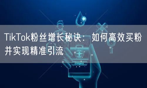 TikTok粉丝增长秘诀：如何高效买粉并实现精准引流