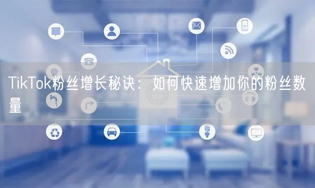 TikTok粉丝增长秘诀：如何快速增加你的粉丝数量