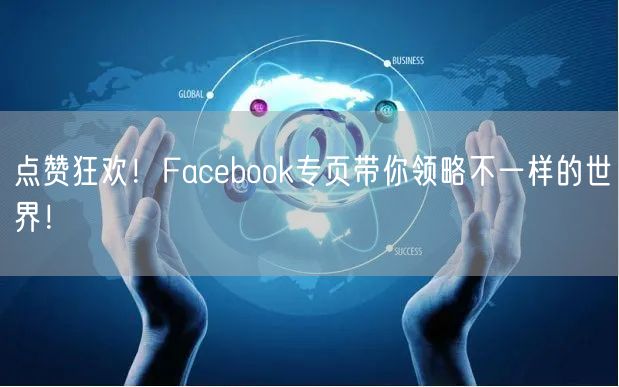 点赞狂欢！Facebook专页带你领略不一样的世界！