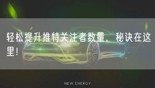 轻松提升推特关注者数量，秘诀在这里！