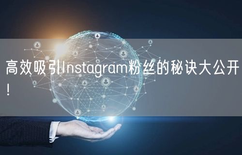 高效吸引Instagram粉丝的秘诀大公开！