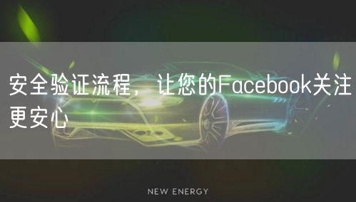 安全验证流程，让您的Facebook关注更安心