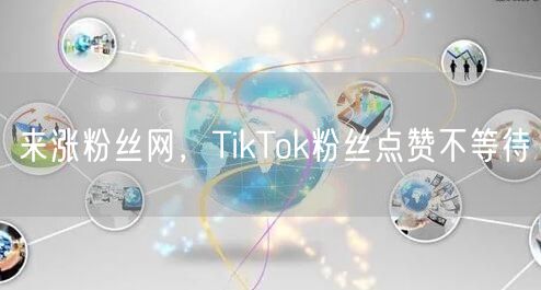 来涨粉丝网，TikTok粉丝点赞不等待