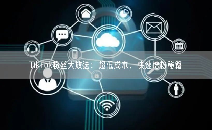 TikTok粉丝大放送：超低成本，快速增粉秘籍