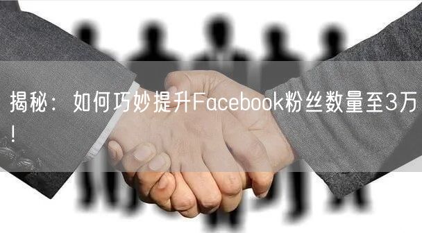揭秘：如何巧妙提升Facebook粉丝数量至3万！