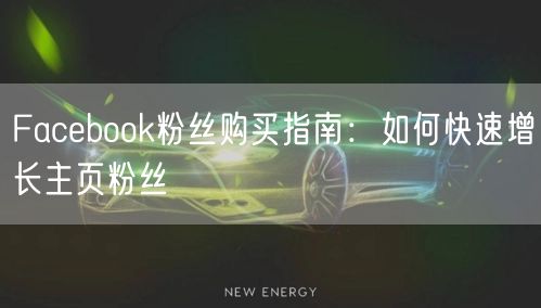 Facebook粉丝购买指南：如何快速增长主页粉丝
