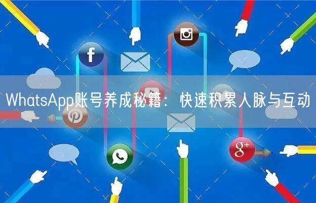 WhatsApp账号养成秘籍：快速积累人脉与互动