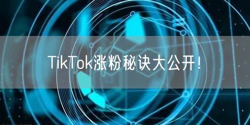 TikTok涨粉秘诀大公开！