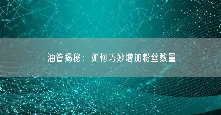 油管揭秘：如何巧妙增加粉丝数量