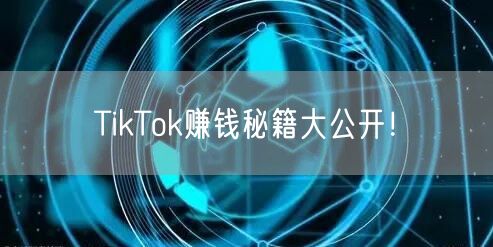 TikTok赚钱秘籍大公开！