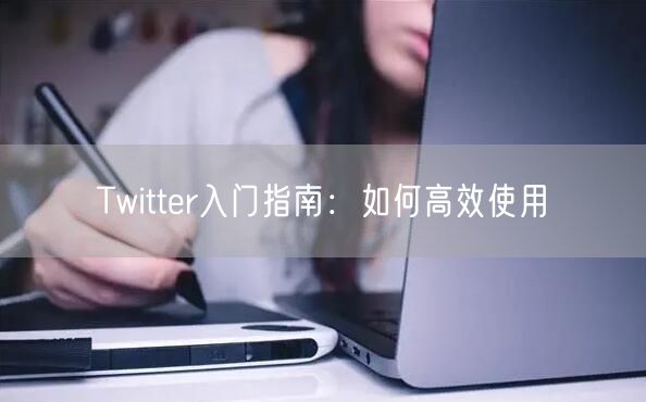 Twitter入门指南：如何高效使用
