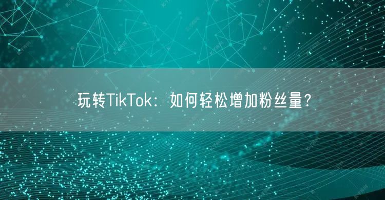 玩转TikTok：如何轻松增加粉丝量？