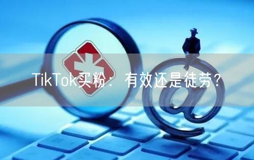 TikTok买粉：有效还是徒劳？
