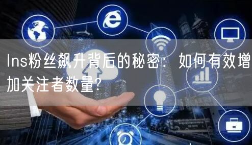 Ins粉丝飙升背后的秘密：如何有效增加关注者数量?