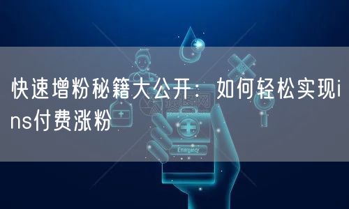 快速增粉秘籍大公开：如何轻松实现ins付费涨粉