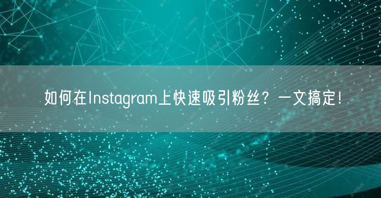 如何在Instagram上快速吸引粉丝?一文搞定!