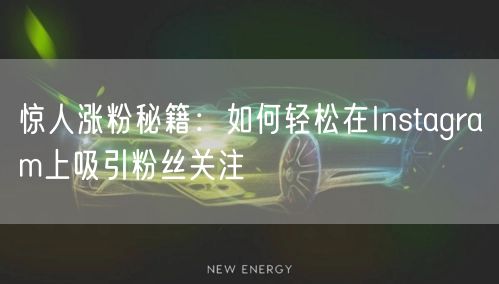 惊人涨粉秘籍：如何轻松在Instagram上吸引粉丝关注