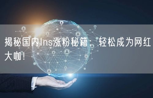 揭秘国内Ins涨粉秘籍：轻松成为网红大咖！