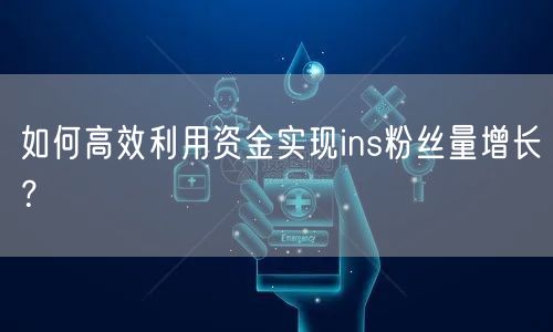 如何高效利用资金实现ins粉丝量增长？