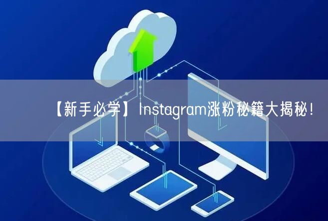 【新手必学】Instagram涨粉秘籍大揭秘!
