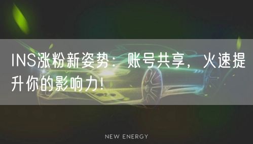 INS涨粉新姿势：账号共享，火速提升你的影响力！