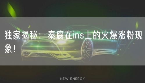 独家揭秘：泰腐在ins上的火爆涨粉现象！