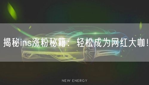 揭秘ins涨粉秘籍：轻松成为网红大咖！