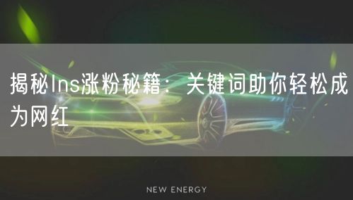 揭秘Ins涨粉秘籍：关键词助你轻松成为网红