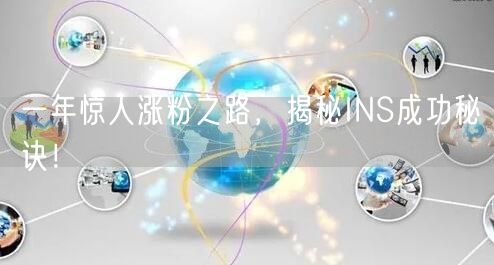 一年惊人涨粉之路，揭秘INS成功秘诀！