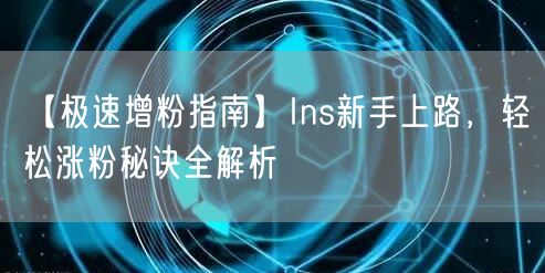 【极速增粉指南】Ins新手上路，轻松涨粉秘诀全解析