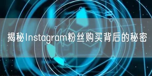 揭秘Instagram粉丝购买背后的秘密