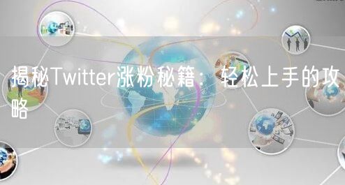 揭秘Twitter涨粉秘籍：轻松上手的攻略