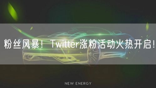 粉丝风暴！Twitter涨粉活动火热开启！
