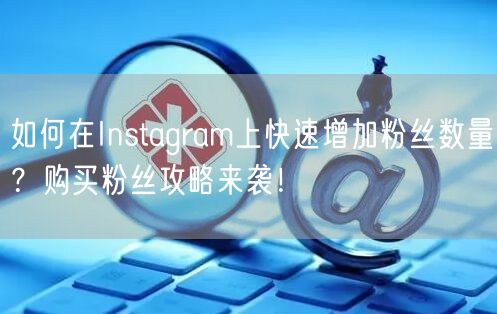 如何在Instagram上快速增加粉丝数量？购买粉丝攻略来袭！