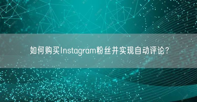 如何购买Instagram粉丝并实现自动评论?