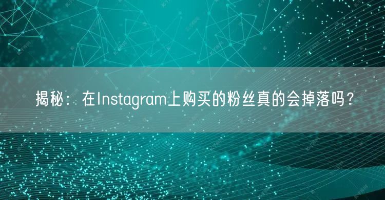 揭秘：在Instagram上购买的粉丝真的会掉落吗？