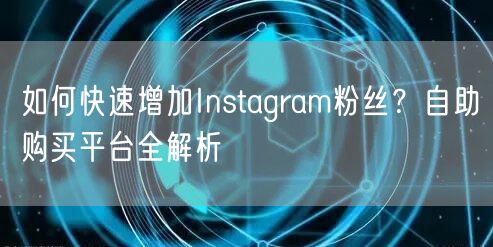 如何快速增加Instagram粉丝？自助购买平台全解析