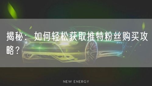 揭秘：如何轻松获取推特粉丝购买攻略？