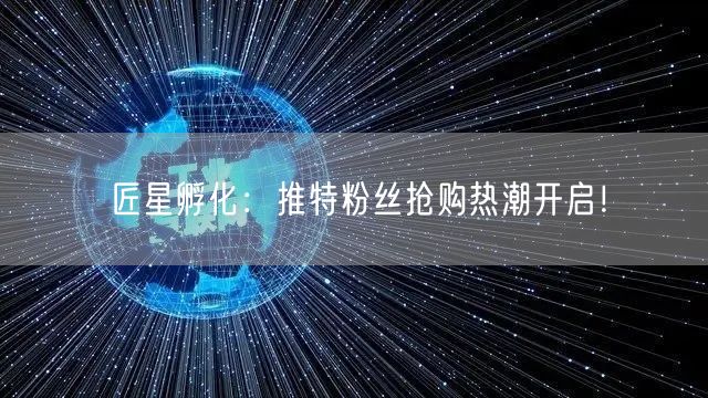 匠星孵化：推特粉丝抢购热潮开启！