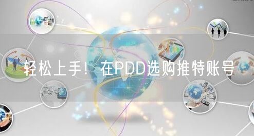 轻松上手！在PDD选购推特账号