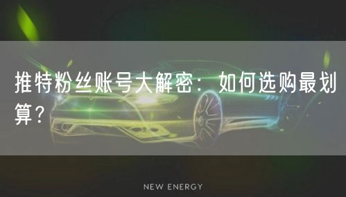 推特粉丝账号大解密：如何选购最划算？