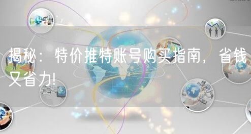 揭秘：特价推特账号购买指南，省钱又省力!