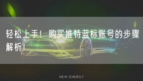 轻松上手！购买推特蓝标账号的步骤解析！