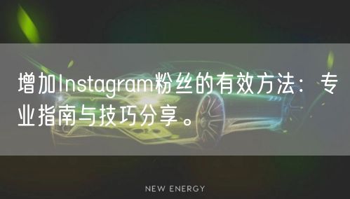 增加Instagram粉丝的有效方法：专业指南与技巧分享。